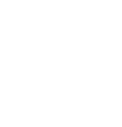 RAVBYTE Technologies
